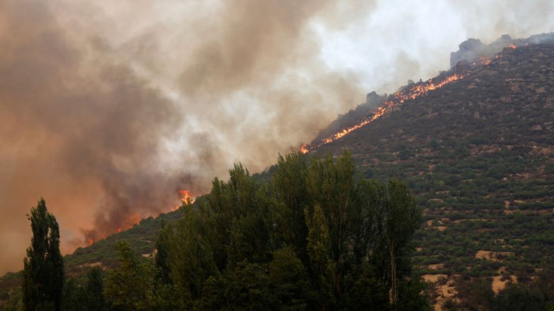 カシージャスが災害ボランティア 大規模山火事の現場で