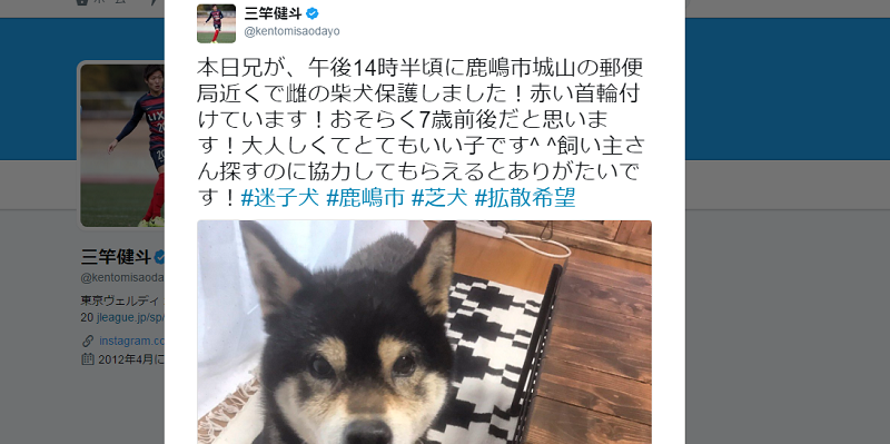 鹿島の三竿兄弟 迷子犬を発見 Snsで呼びかけ 飼い主見つかる