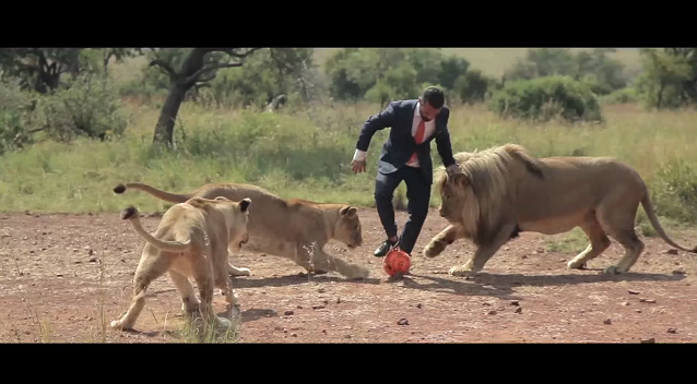 ヒトと野生のライオンがガチでサッカーをする オランダ代表公式スーツのcmが最高にかっこいい